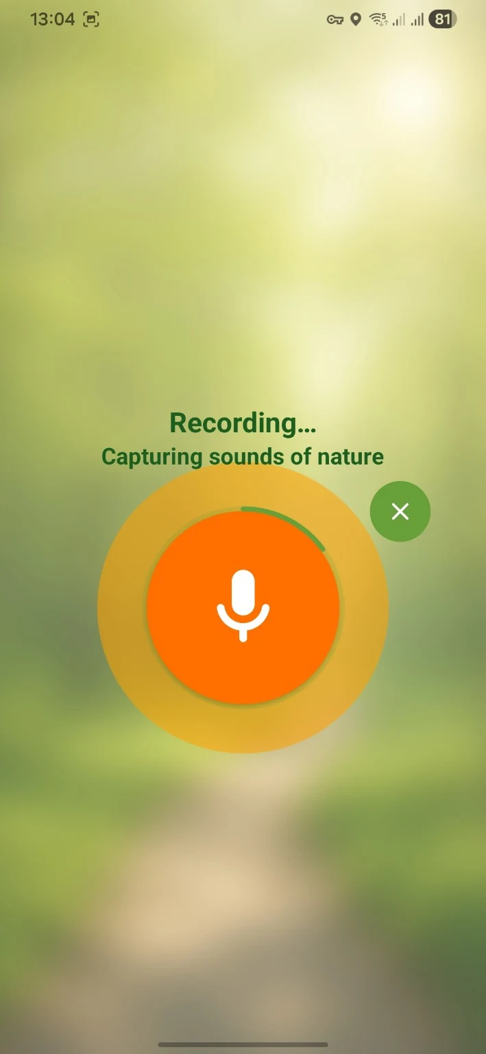 BirdNerd recording screen capturing sounds of nature