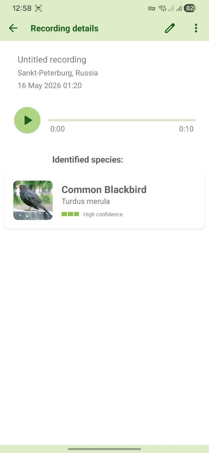 BirdNerd result screen showing an identified Common Blackbird